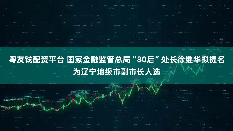 粤友钱配资平台 国家金融监管总局“80后”处长徐继华拟提名为辽宁地级市副市长人选