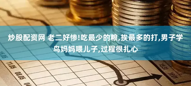 炒股配资网 老二好惨!吃最少的粮,挨最多的打,男子学鸟妈妈喂儿子,过程很扎心